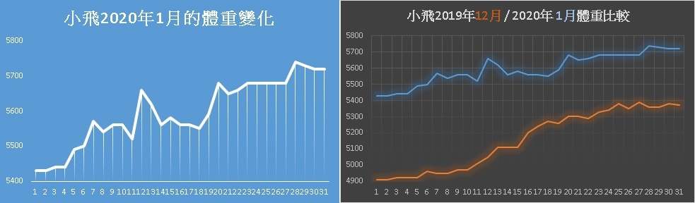 20200131_小飛本月體重變化.jpg