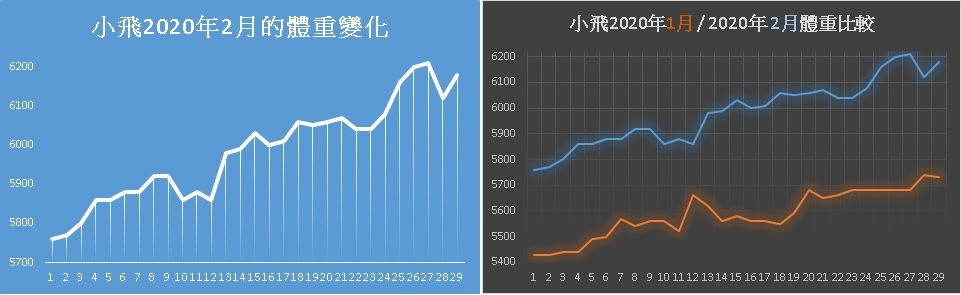 20200229_小飛本月體重變化.jpg