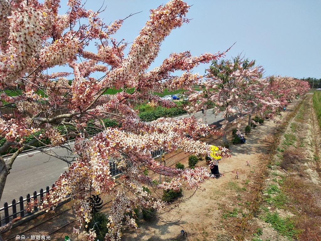 IMG20210328115327.jpg IMG20210328115327.jpg