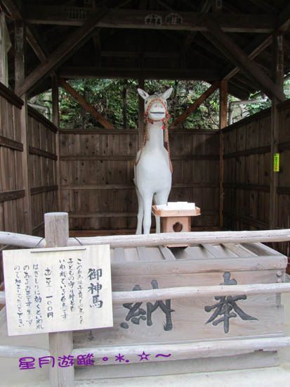 4B針綱神社06