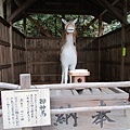 4B針綱神社06