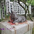 4B針綱神社12