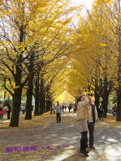 2013東京秋-光之丘公園