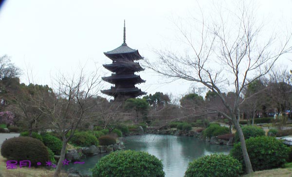 a東寺-梅桜 (9)