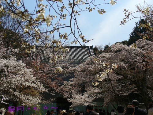 a1醍醐寺 (13)