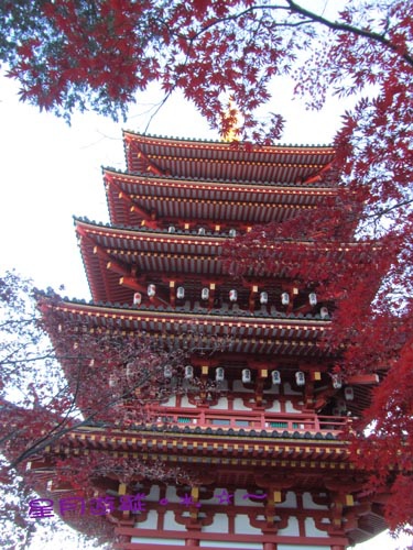 高幡不動尊金剛寺Ⅱ2013東京秋