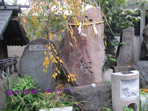 c波除神社 (12)