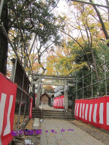 b富岡八幡宮 (8)