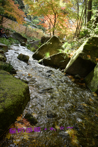 c大曽根瀧徳川園 (7)