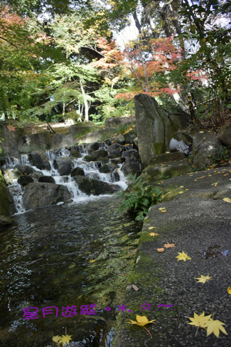 c大曽根瀧徳川園 (2)