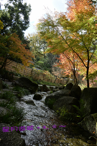 c大曽根瀧徳川園 (8)