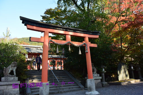 c2宇治神社 橋19