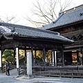 a大銀杏鑁阿寺18