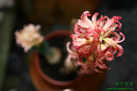 images.jpg images.jpg