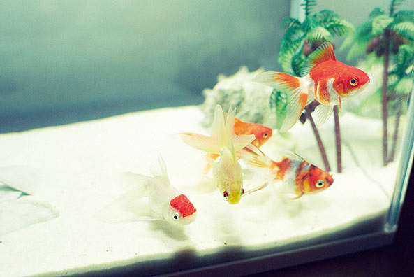 131122_h32f.jpg 131122_h32f.jpg