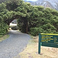 前進Hooker Valley