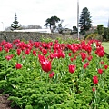 Winter Garden @ Wanganui