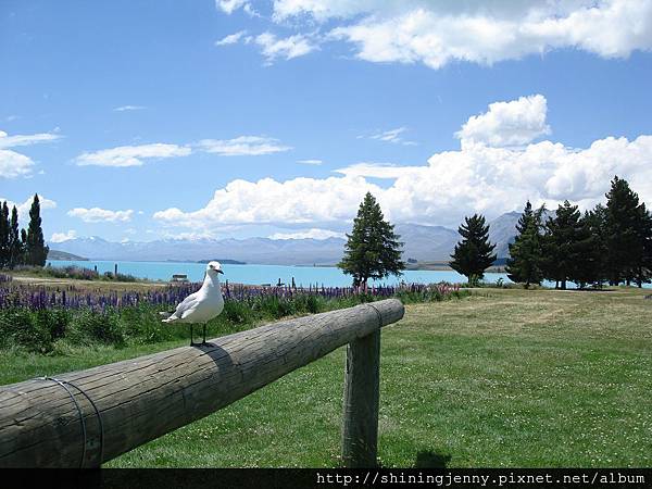 Lake Tekapo