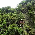 DSC03600.jpg