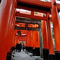 DSC08251.jpg