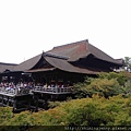 DSC08393.jpg