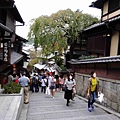 DSC08417.jpg