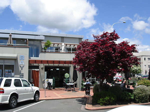 Lime Cafeteria [Rotorua]