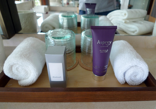 The Ritz-Carlton Villas