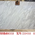 特級銀狐5050-61.jpg