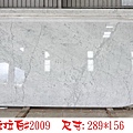 卡拉拉白#2009-2.jpg