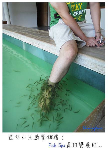 Fish spa demo.jpg