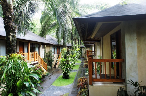 Safari park lodge