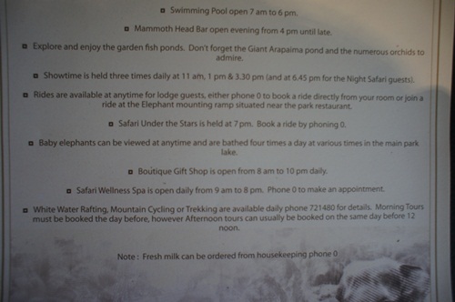 Safari park lodge park view