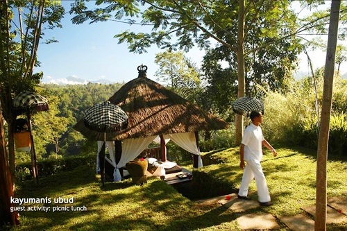 Ubud Picnic Lunch