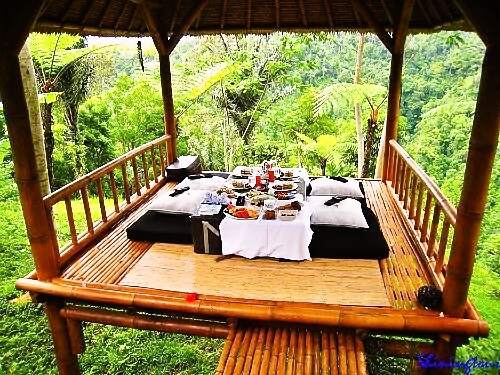 Ubud Picnic Lunch