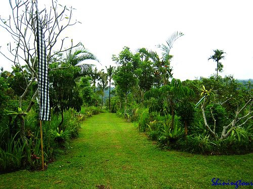 Ubud Picnic Lunch