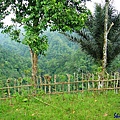 Ubud Picnic Lunch