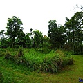 Ubud Picnic Lunch