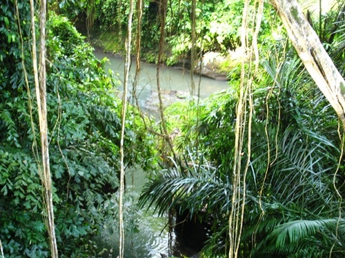 Kayumanis Ubud Trekking Ibah