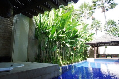 De Daun 1 Bed Room Deluxe Pool Villa