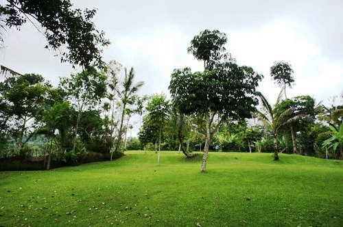 Kayumanis Ubud Picnic Lunch