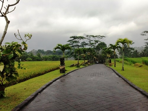 Puri Wulandari Morning Walk