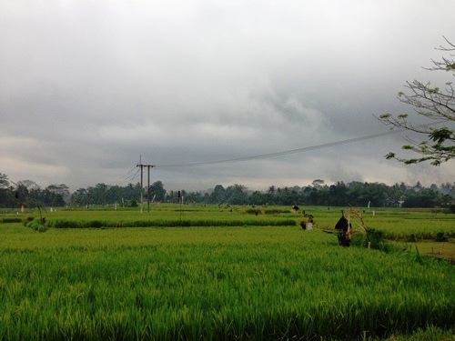 Puri Wulandari Morning Walk