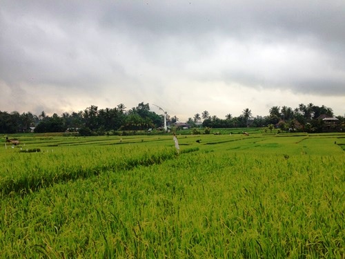 Puri Wulandari Morning Walk