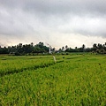 Puri Wulandari Morning Walk