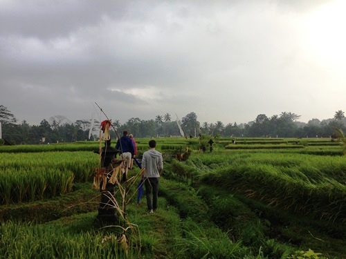 Puri Wulandari Morning Walk