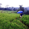 Puri Wulandari Morning Walk