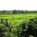 Maya Ubud Superior Room