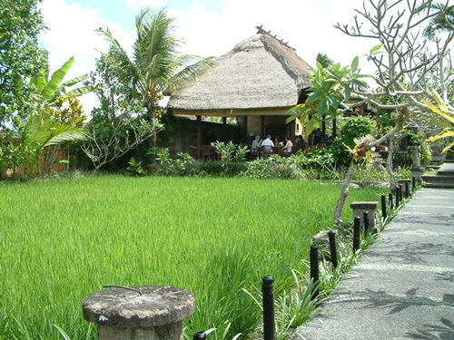 Bebek Bengil Ubud