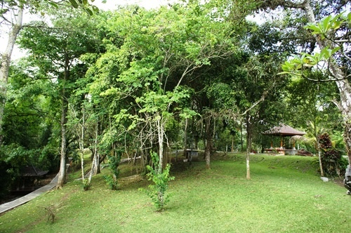 Pura Taman Ayun 塔曼阿雲寺